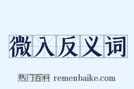 微入反义词是什么意思的图片